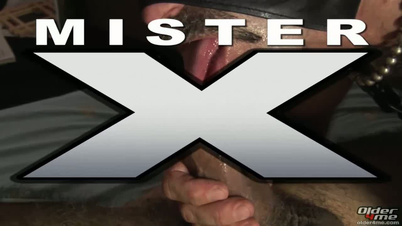 Photo of Mister X Swallows
